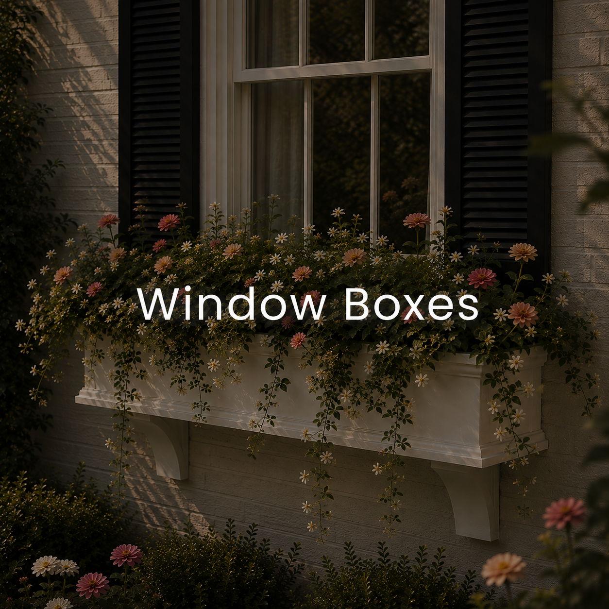 Window boxes filled with flowers beneath a window.