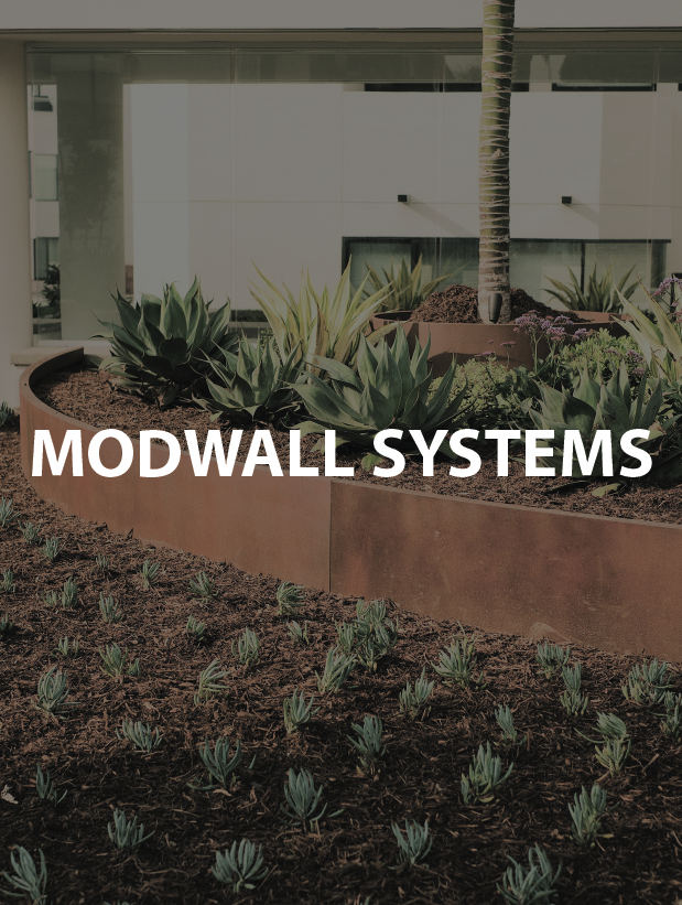 Succulent garden with curved metal border and palm tree in the background.