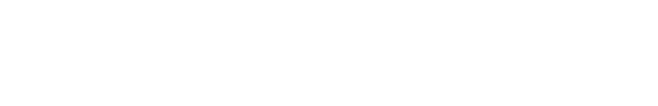 Solo-Werks Logo