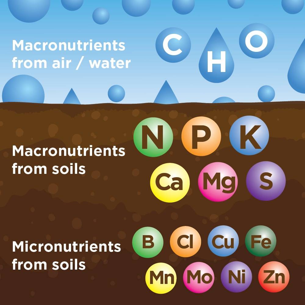 macronutrients and micro nutrients chart, macronutrients from air/water,  macro nutrients from soils, micro nutrients from soils.