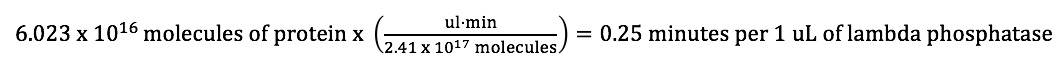 lambda phosphatase equation 2