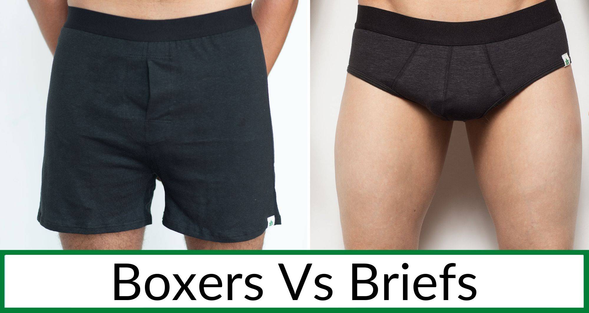 Boxers vs Briefs: Which To Choose? – WAMA Underwear