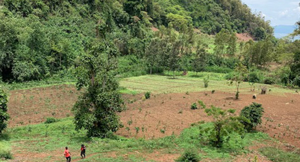 open field and farmland