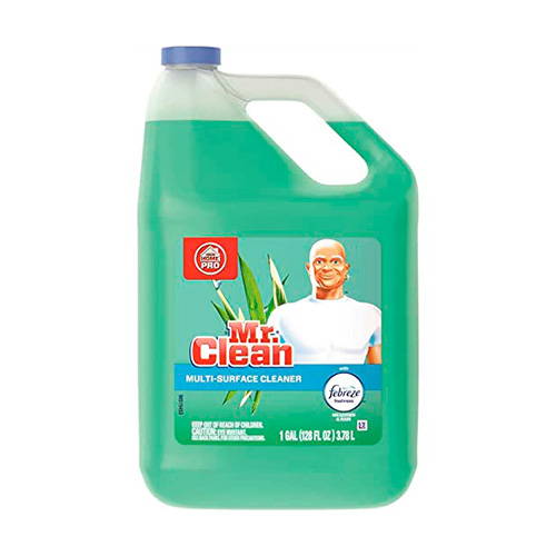 Mr. Clean Multipurpose