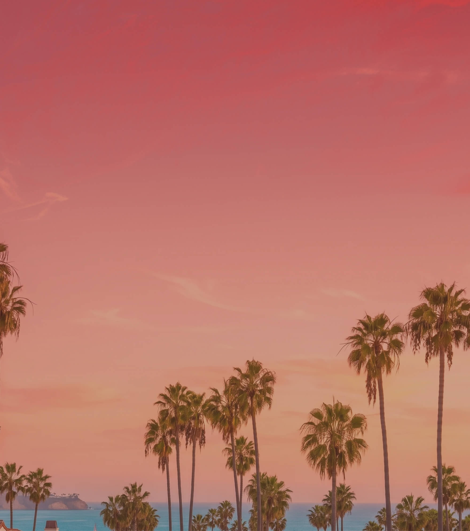 Sunset over the ocean with palm trees silhouetted against a pink sky.