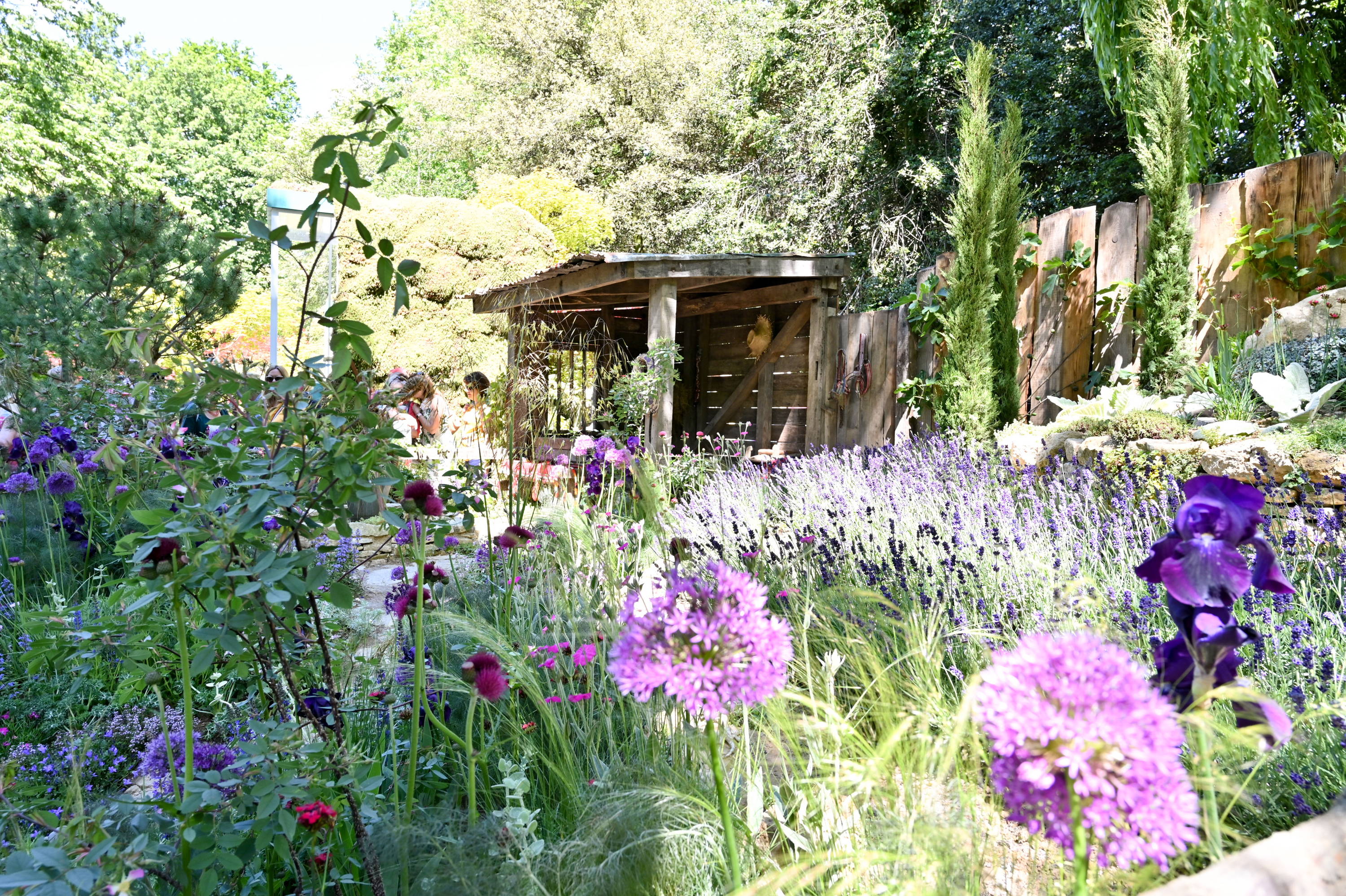 Donkey Sanctuary Garden at the 2019 Chelsea Flower Show