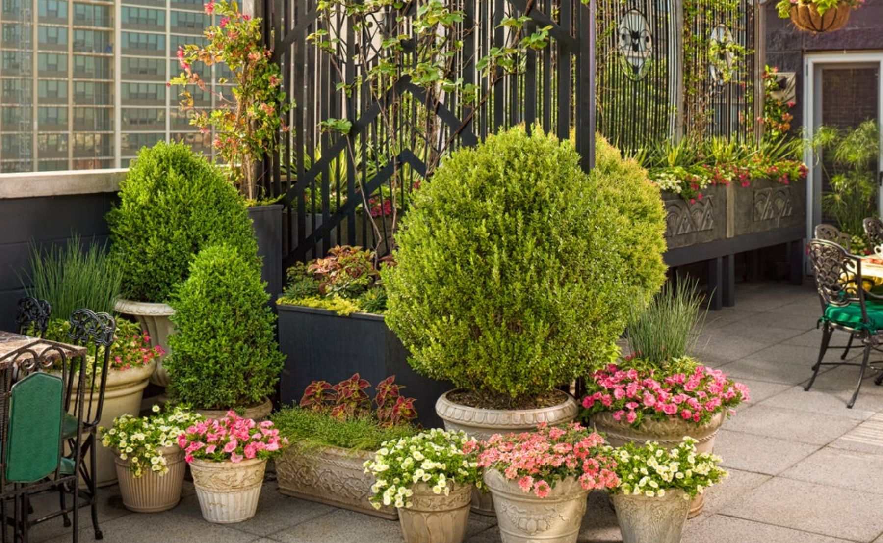 30% Off Select Annuals Garden Display