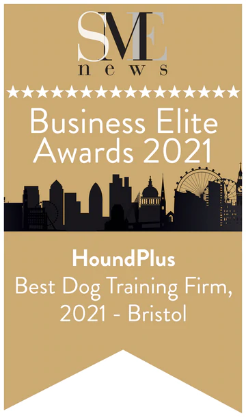 dog training business award