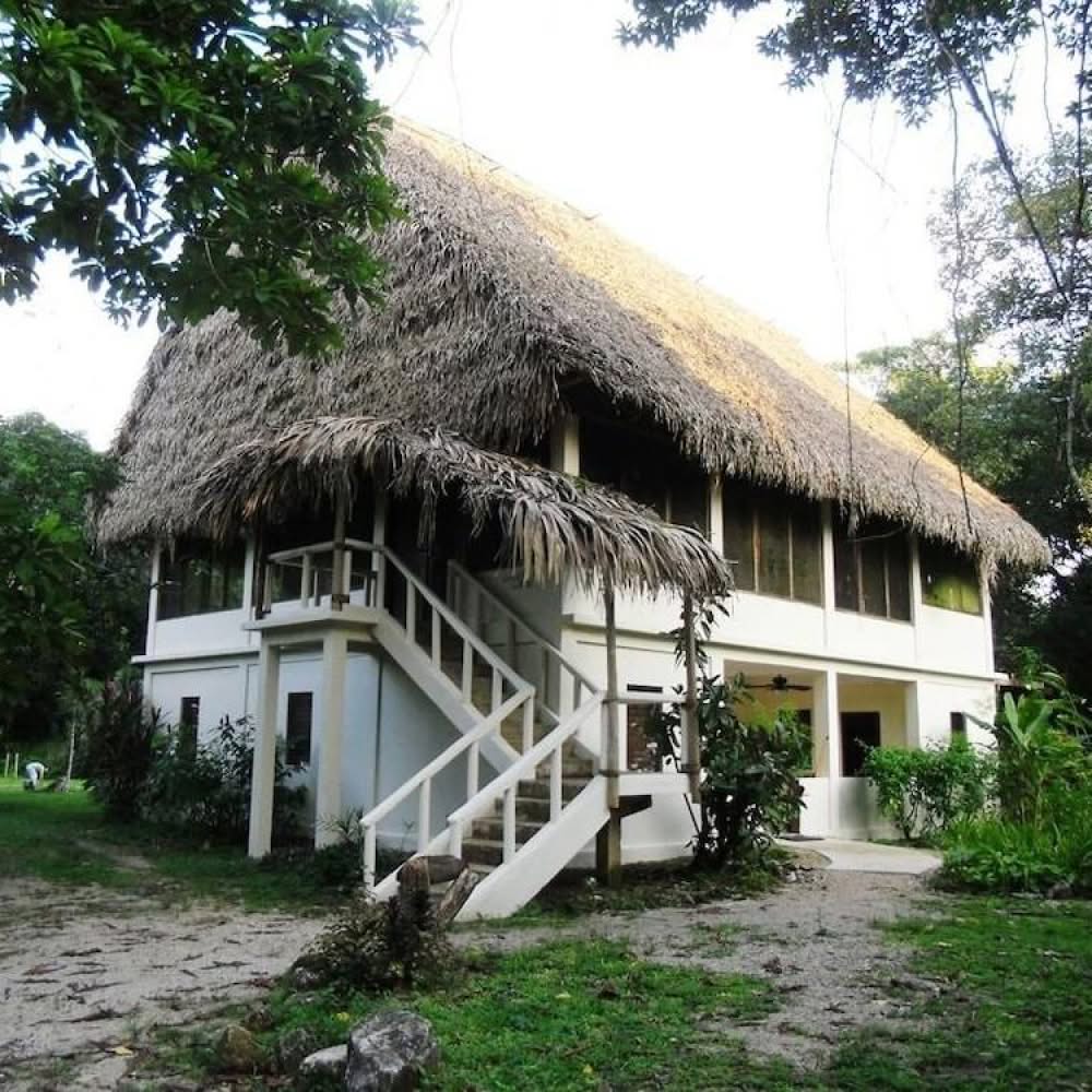 A two-story house with a thatched roof surrounded by greenery.