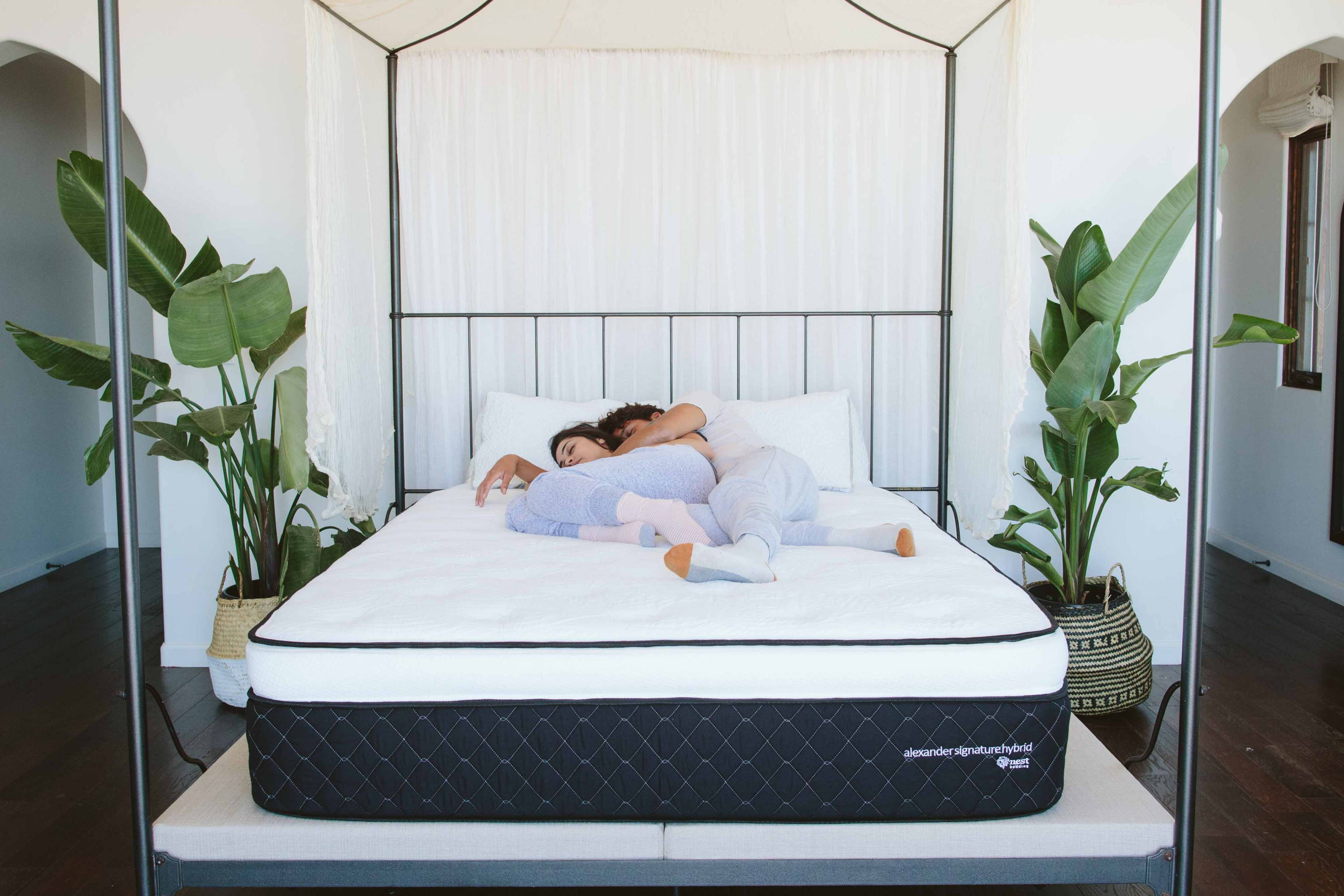 Nest Bed Coupon