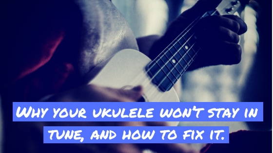 converse high ukulele