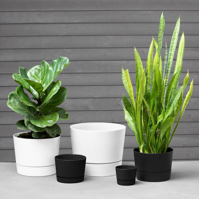 Majestic family style of pots and planters
