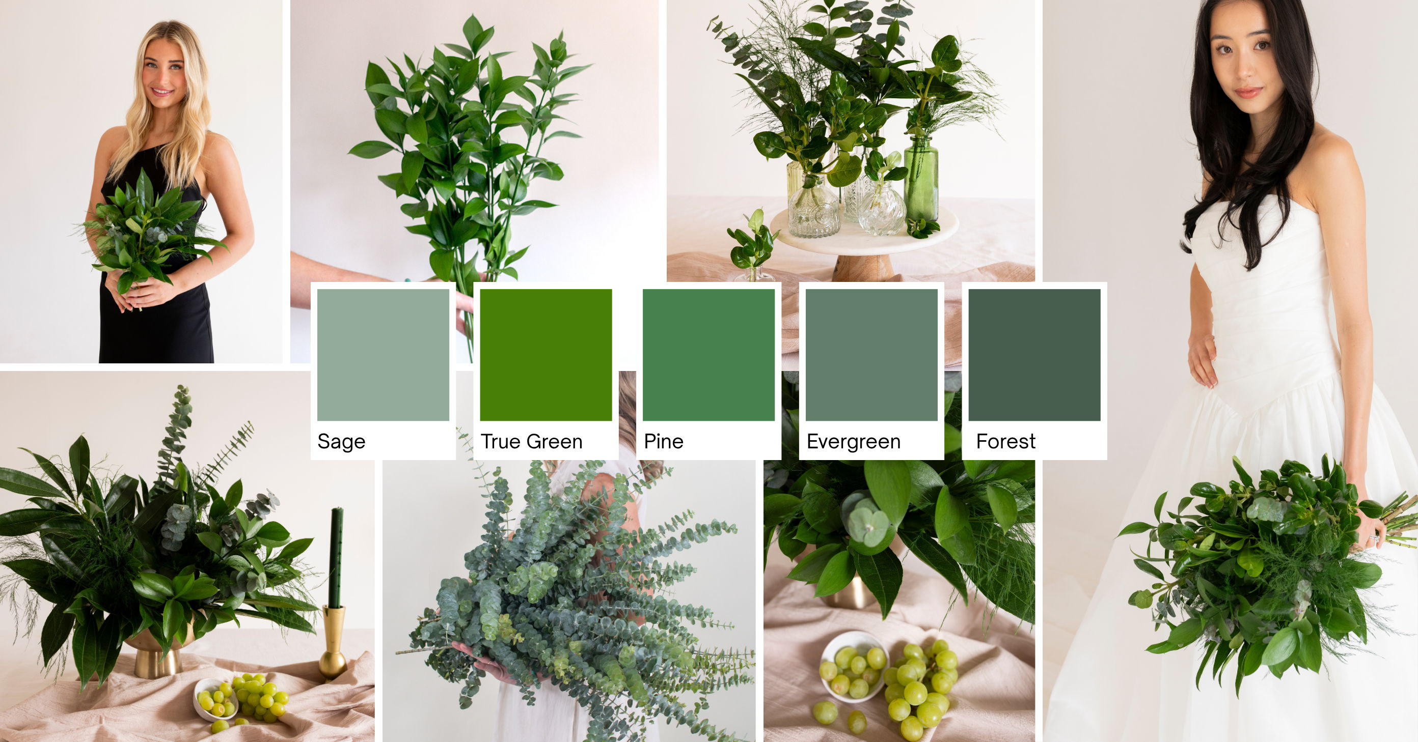 The Green Edit Header