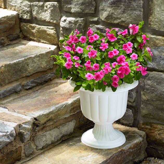 Flowers growing in a white urn planter