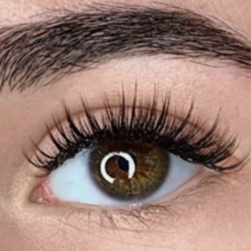 Close-up of a brown eye with long eyelashes and well-groomed brow.