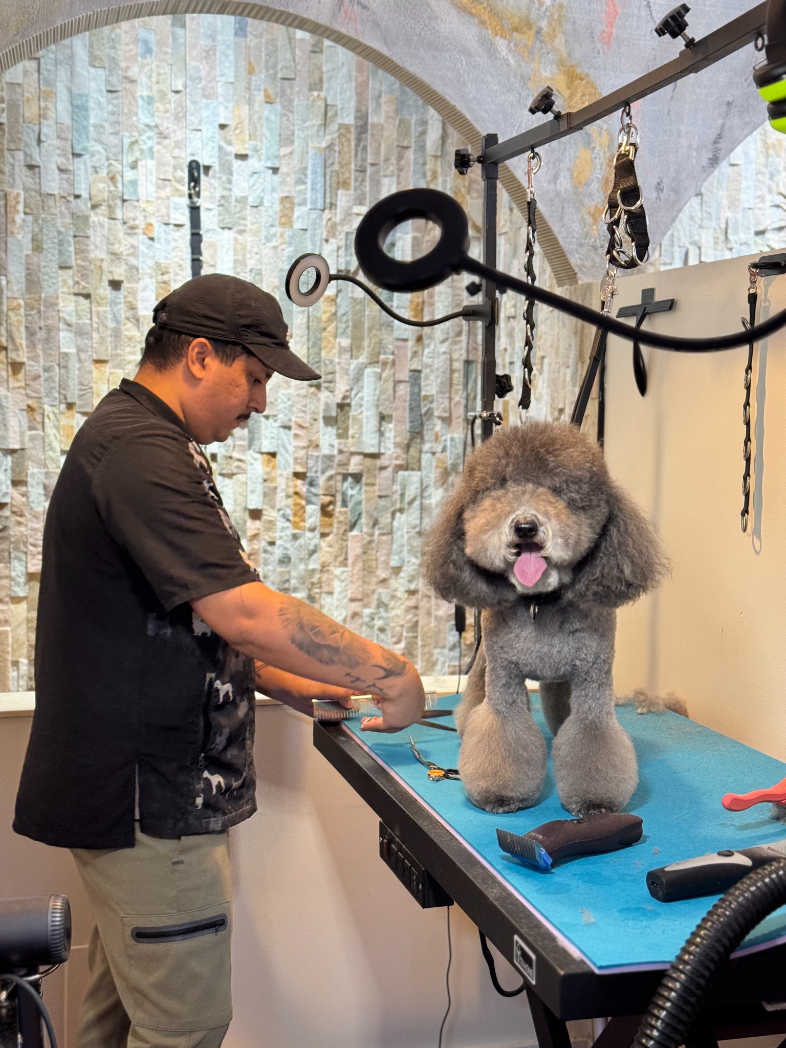 Groomer carefully styling a gray dog at Treated Groom Spa