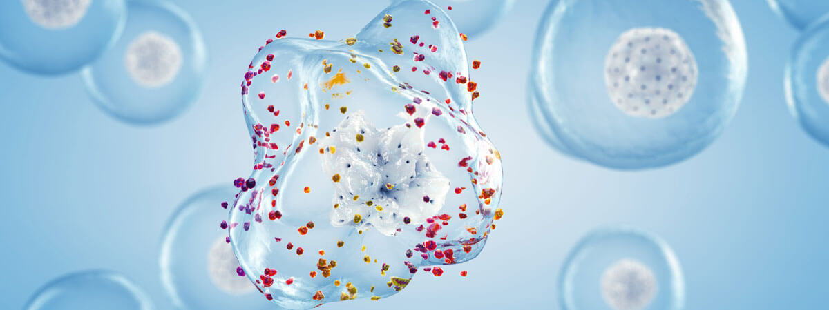 Inflammatory Signalling and Immune Response