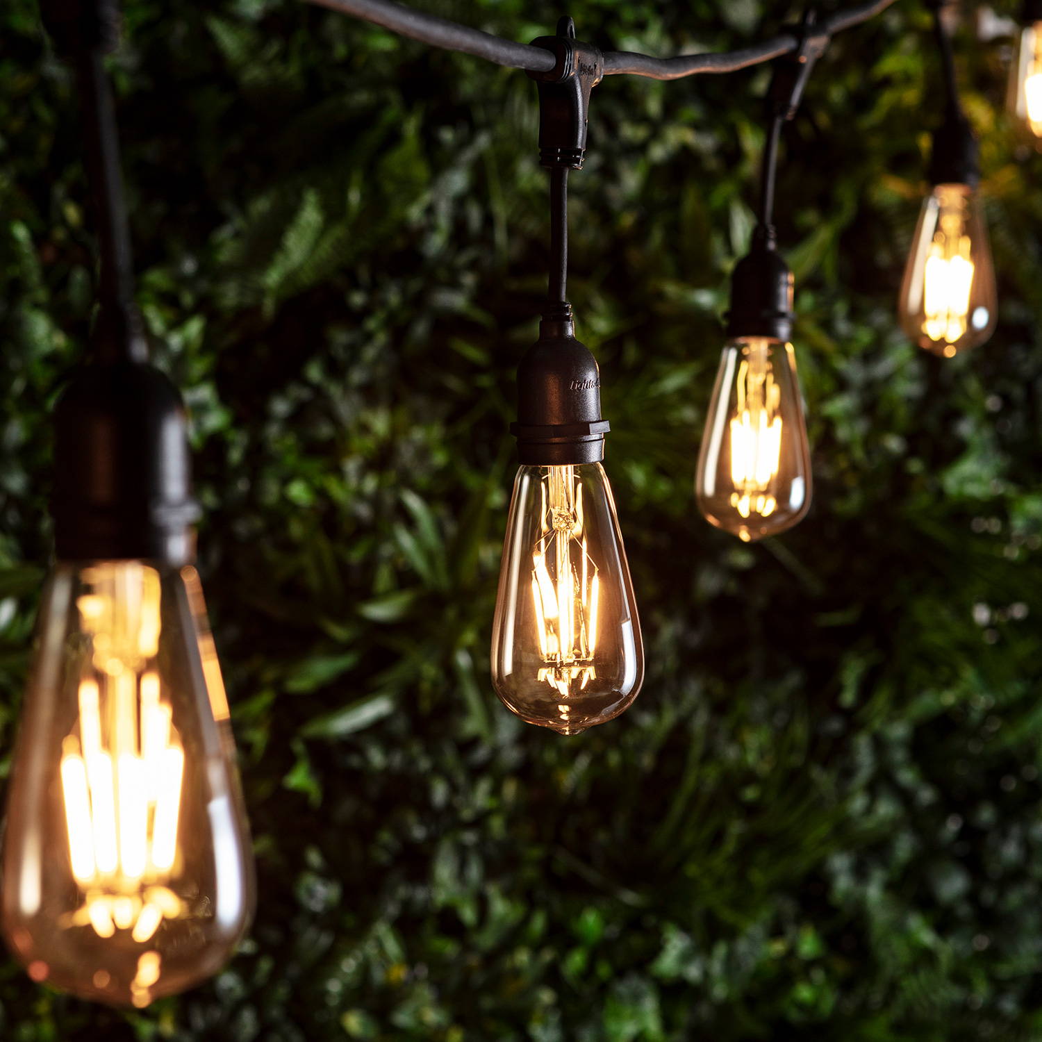 Ingenious festoons squirrel cage festoons illuminated