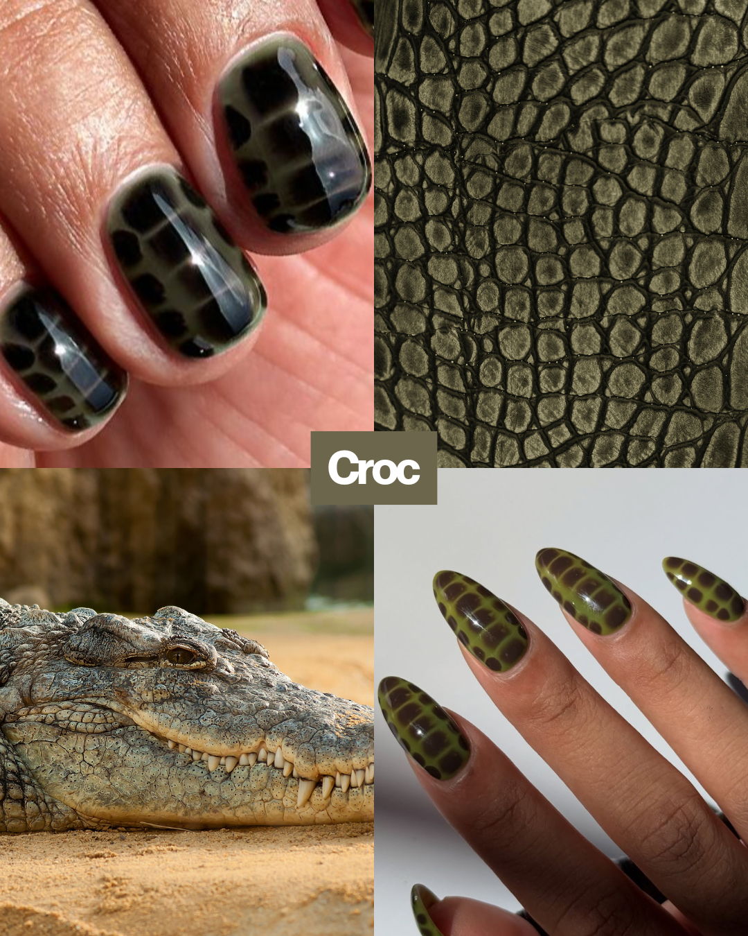 Croc nails mood board