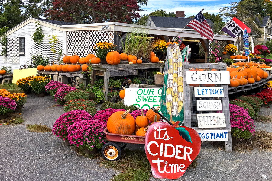 local farm selling pumpkins and produce
