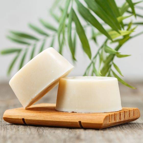 Two shampoo bars displayed on top of wooden soap holder with plant leaves visible in background