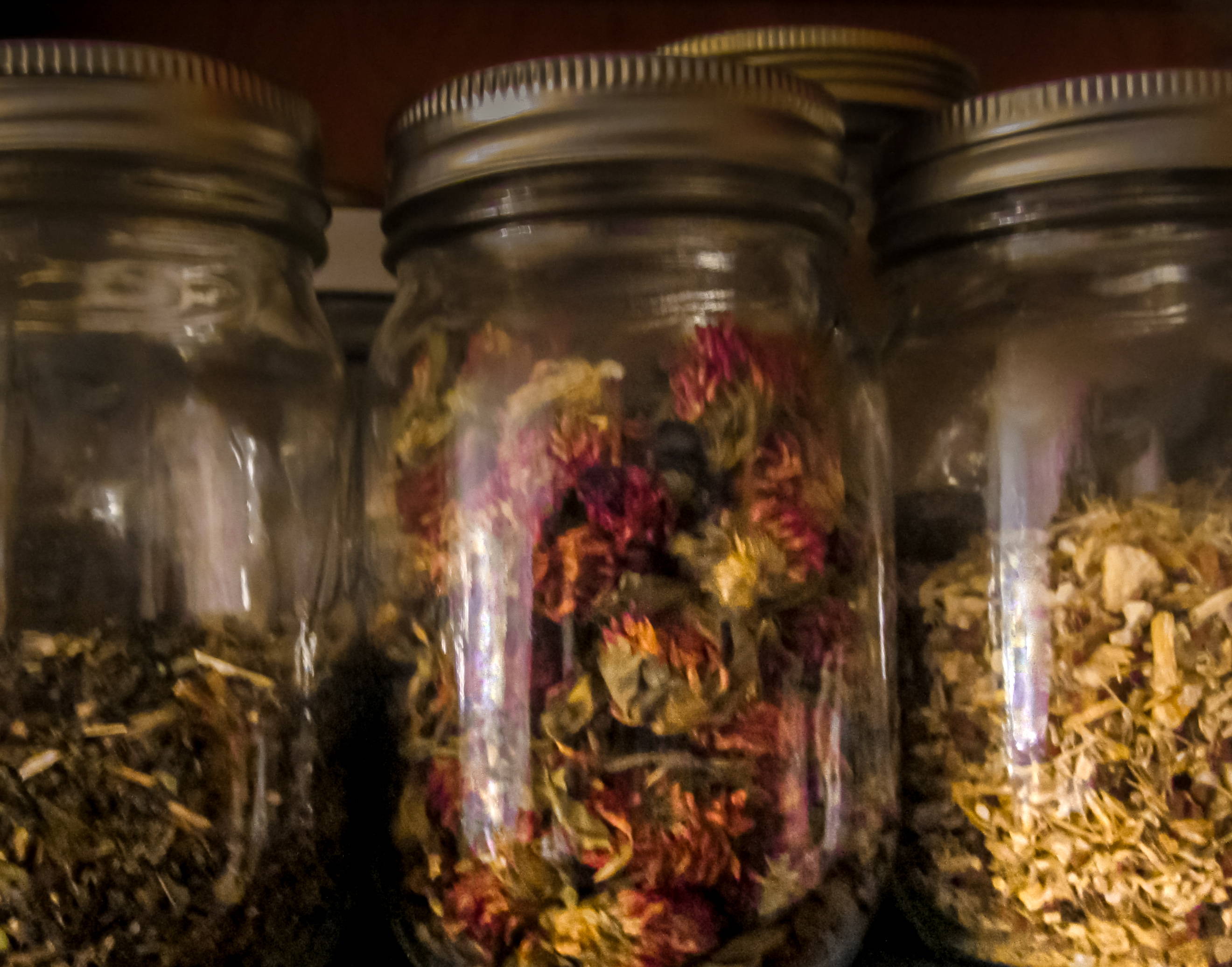 Dried herbs and plants inside of mason jars. 