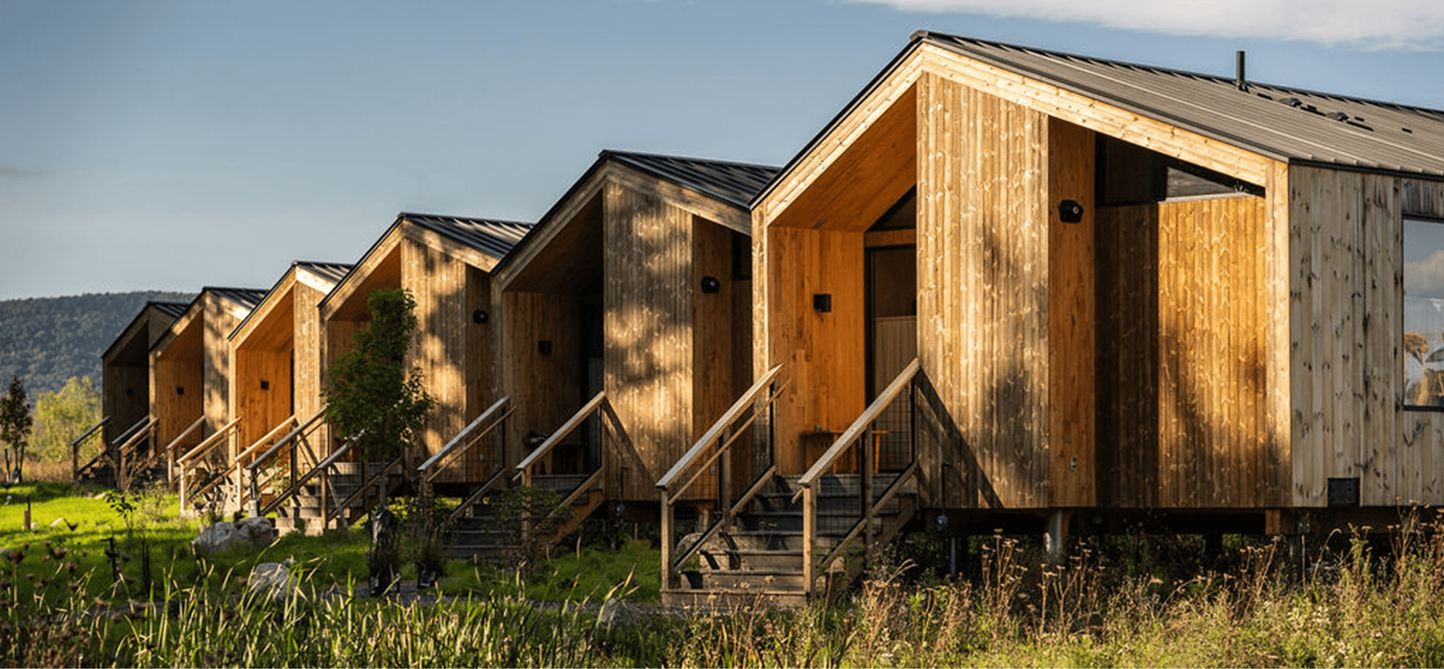 Row of modern wooden cabins in a natural setting.