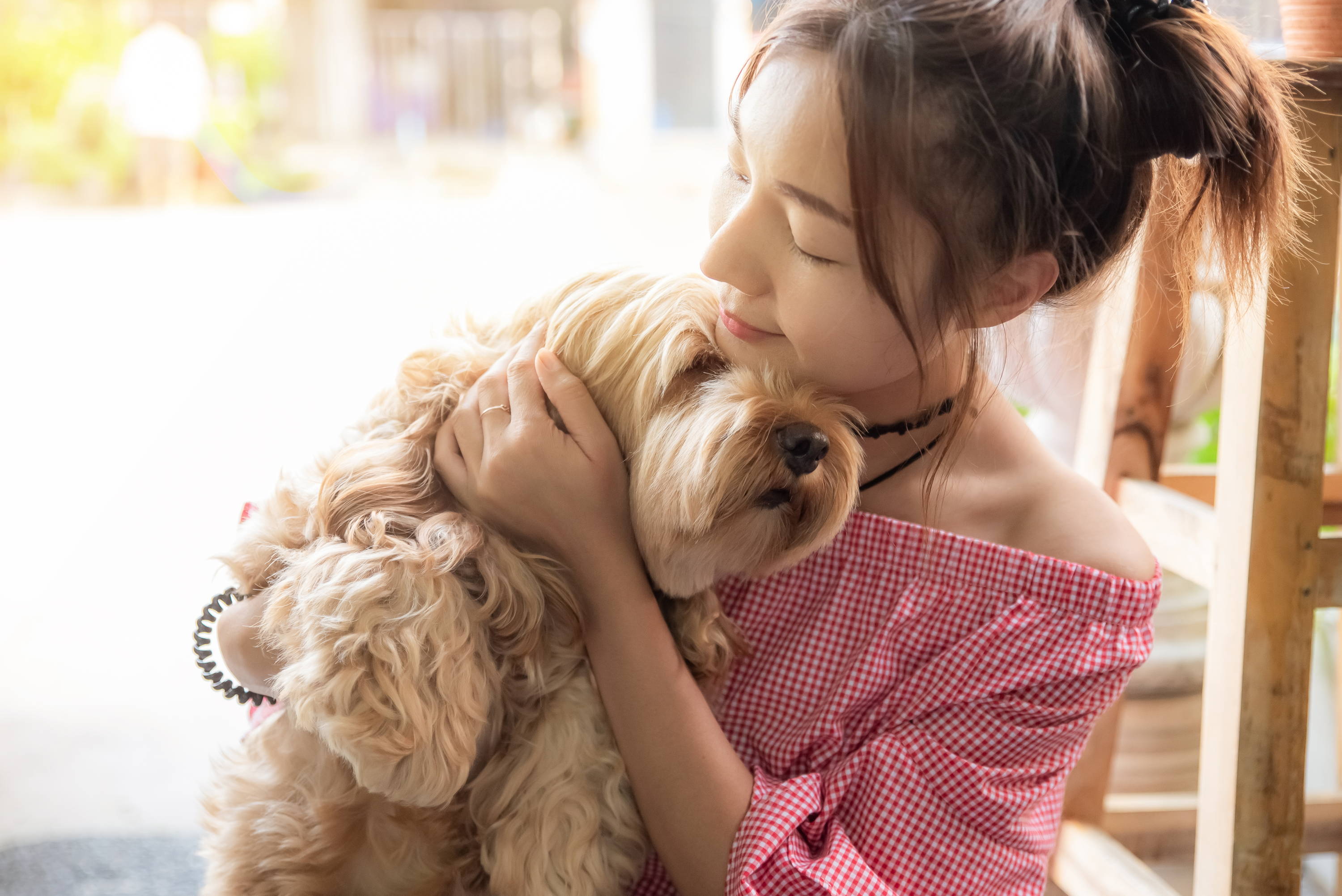 Woman Hugging A Dog