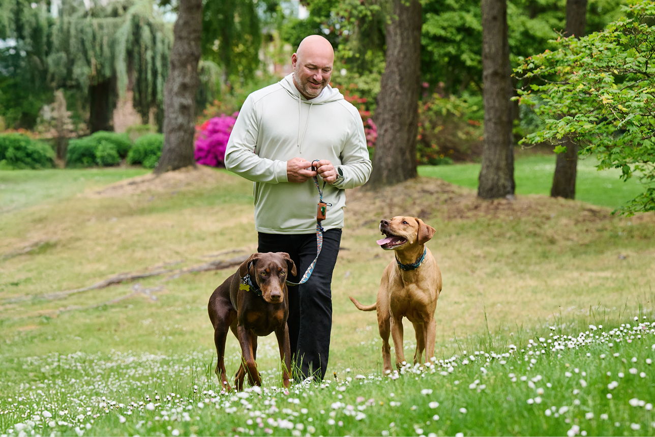 Man walking with two dogs in a green park.