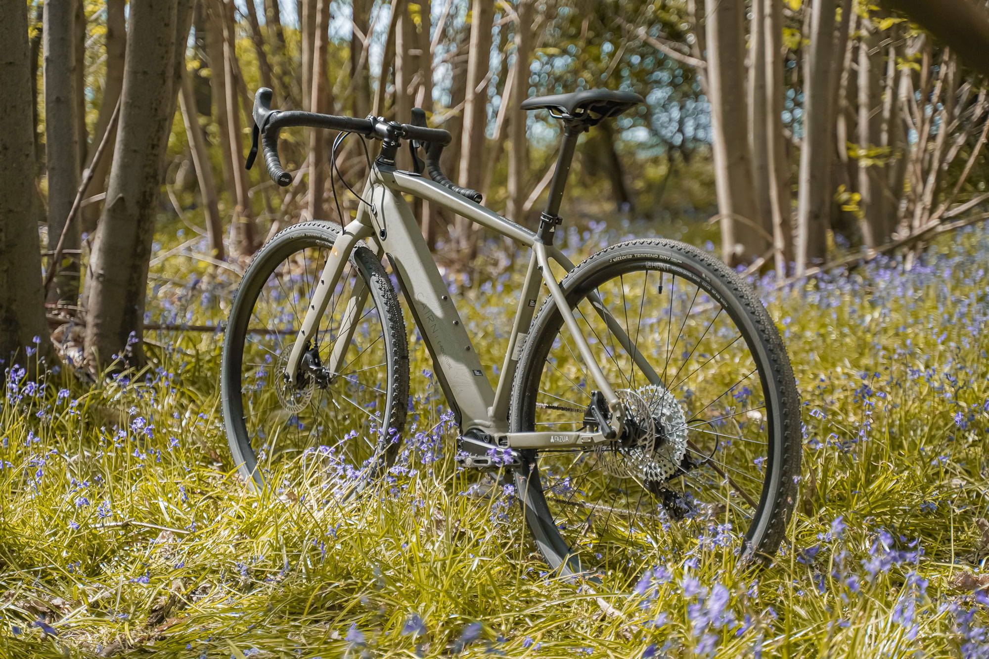 E-Adventure Rambler among bluebells