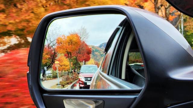 関東の紅葉絶景を満喫できるドライブコース5選