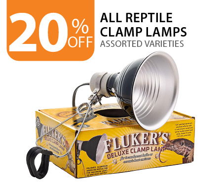 20% off All reptile Clamp Lamps