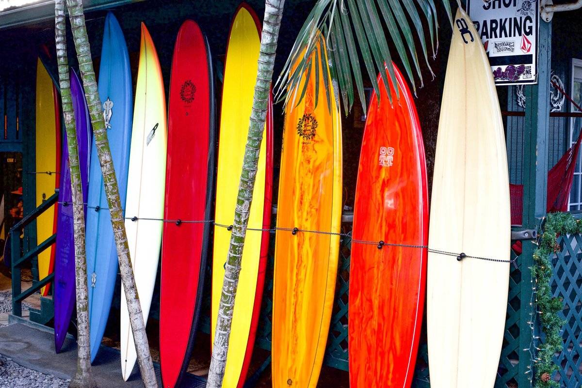 Wacht even Revolutionair Behoort Surfing 101: Types of Surfboards - Everyday California