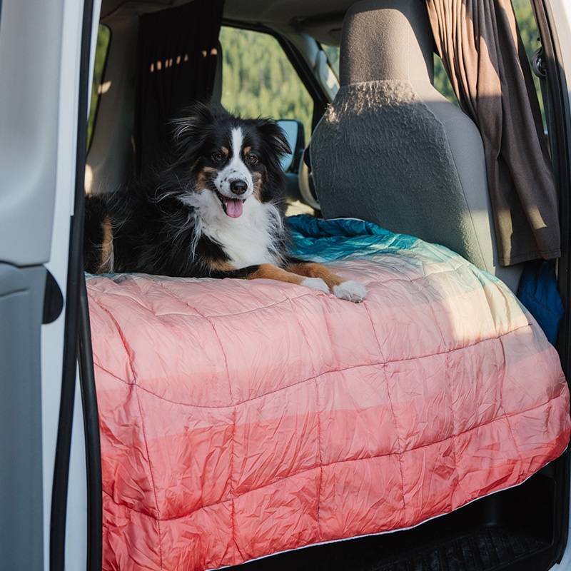 Australian shepherd inside of a van on a blanket