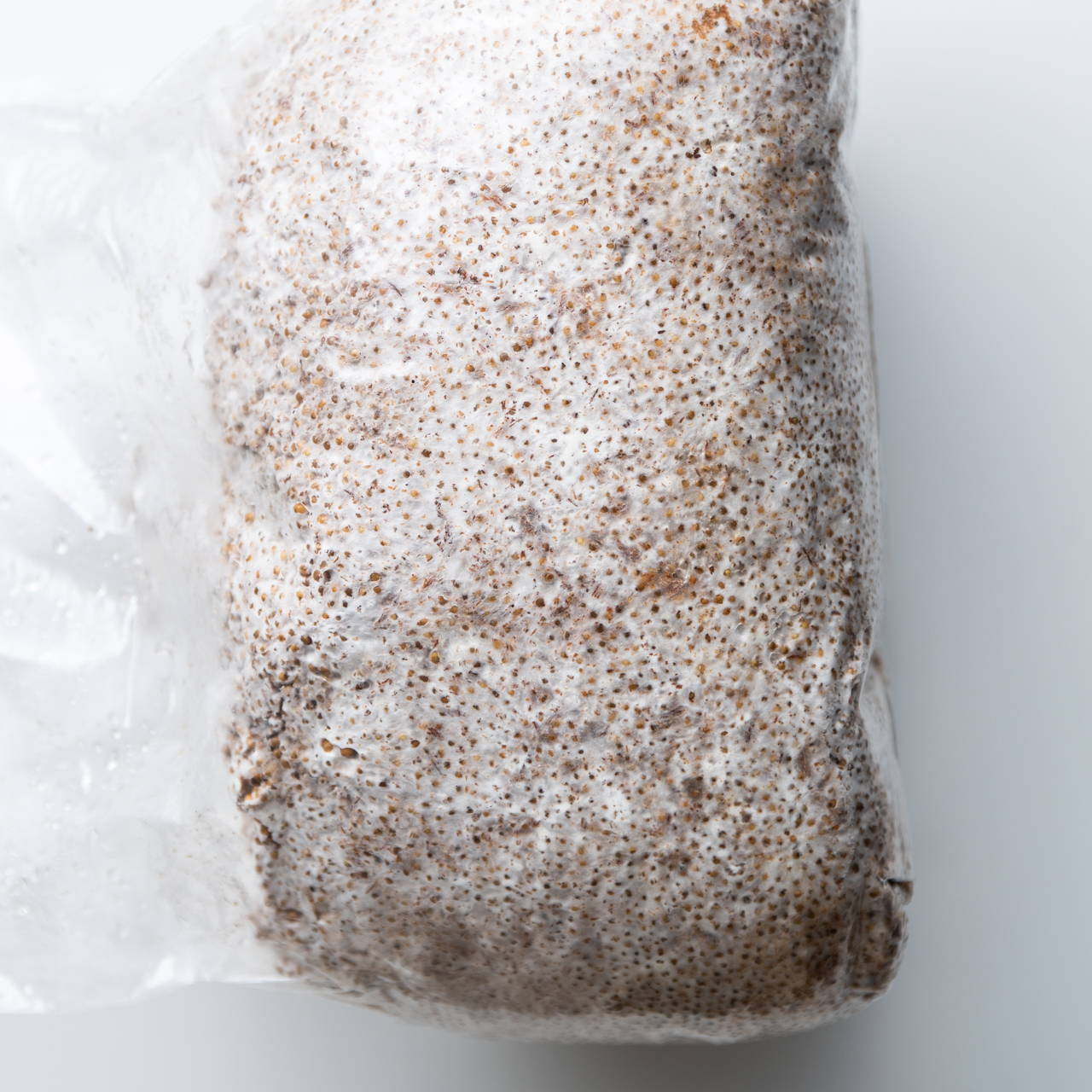 Edible Mushroom Spores