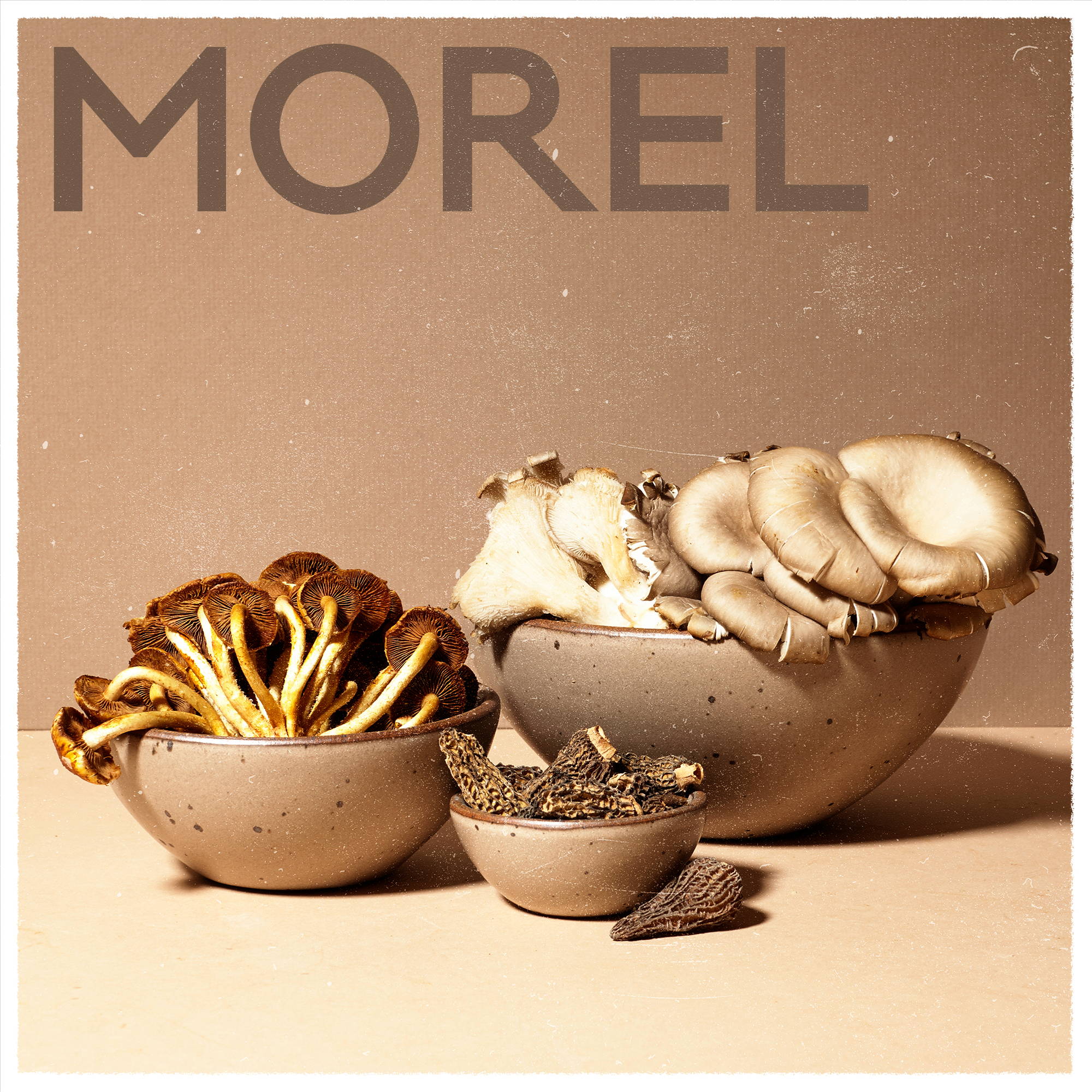 Morel playlist on Spotify