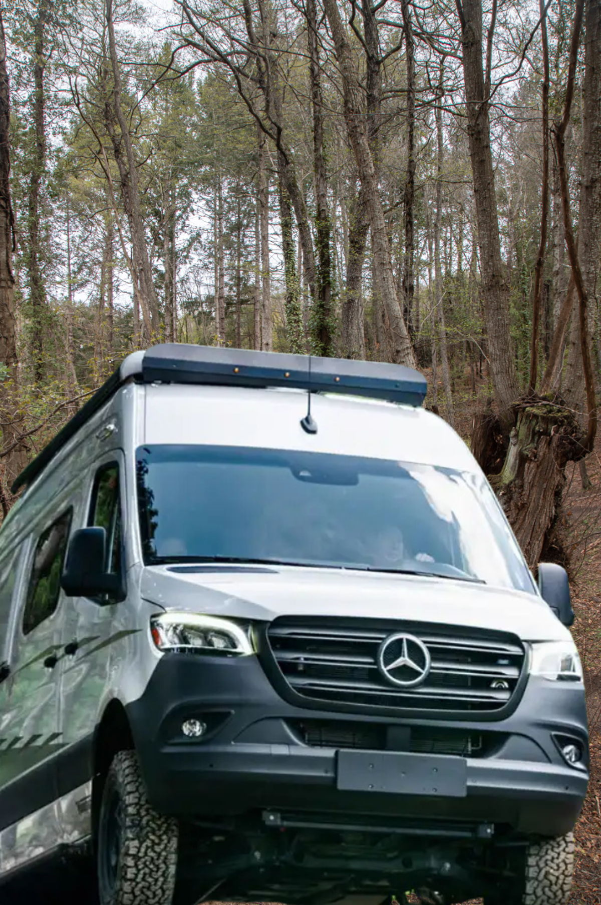 Revel