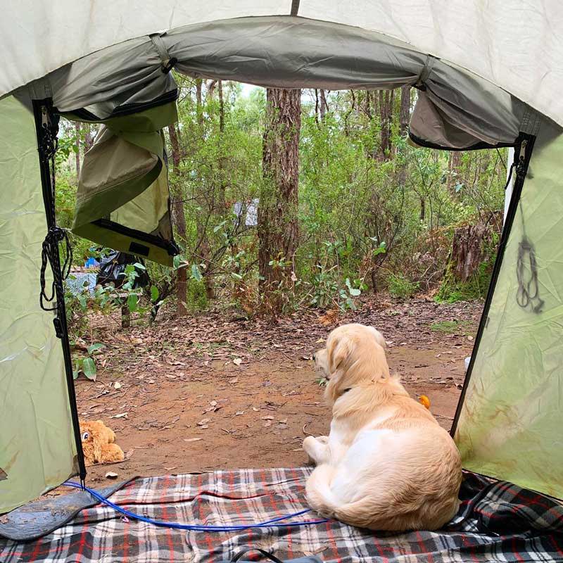 Charlies Flat, Dog friendly camping Perth