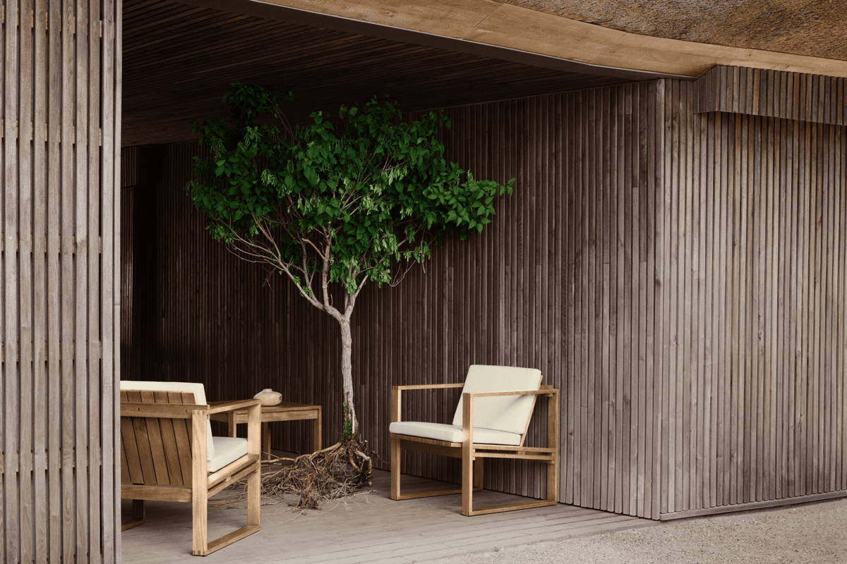 Boxhill's Teak Alfred Outdoor Armchairs by a wood plank wall and a tree with exposed roots.