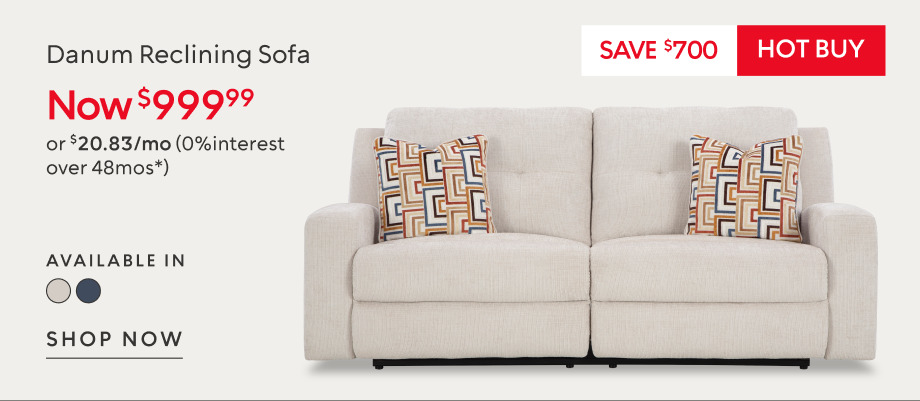 Danum Reclining Sofa now $999.99 save $700