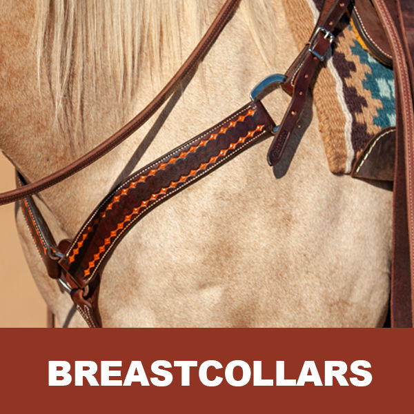 Close-up of a horse's breastcollar, featuring decorative stitching and leather.