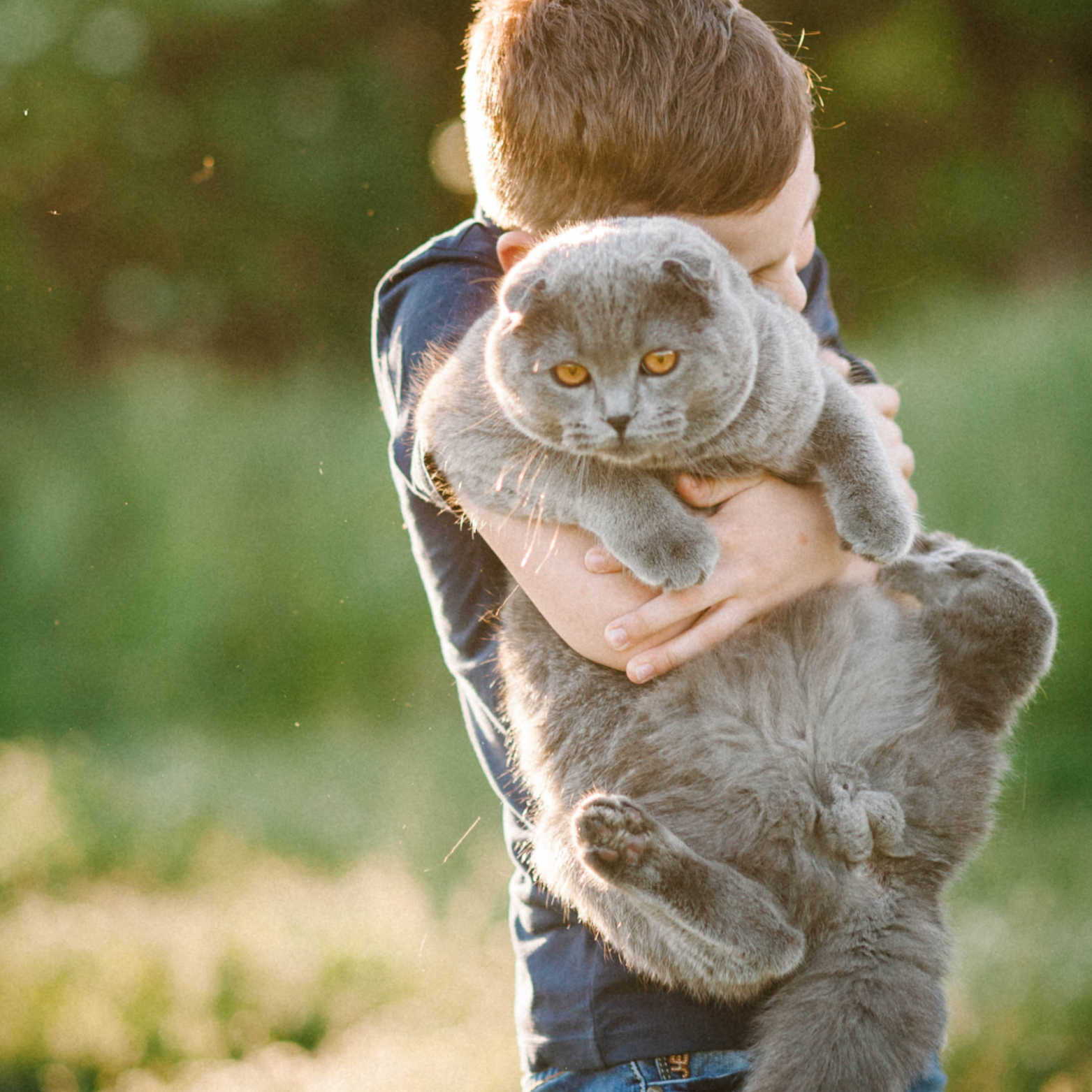 A boy holding his older pet. Text discusses the potential benefits of CBD for pets, including reducing anxiety, pain, seizures, and appetite/nausea issues. Studies referenced include ones from 2019, 2018, 2017, and 2020.