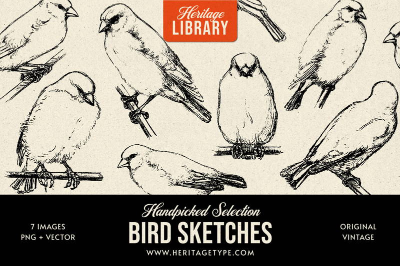 Page 4, Bird outline line art Vectors & Illustrations for Free Download