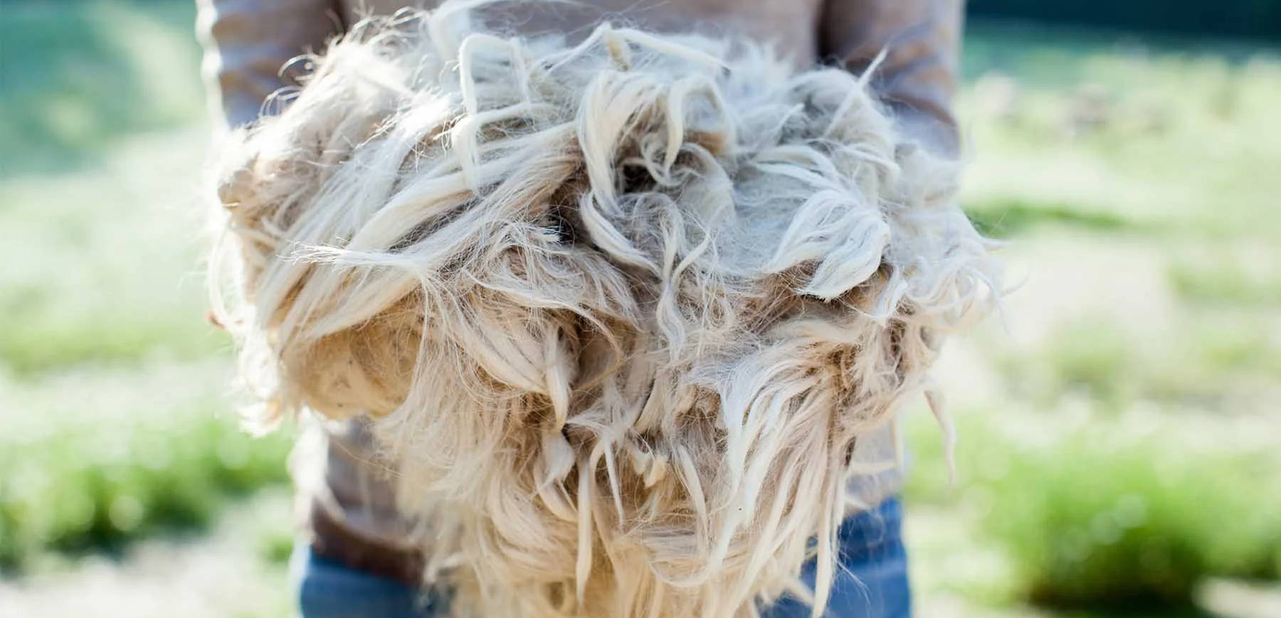 A person holding a large bundle of fluffy, light-colored fibers outdoors.