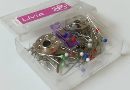 Sewing Pins in Small Case
