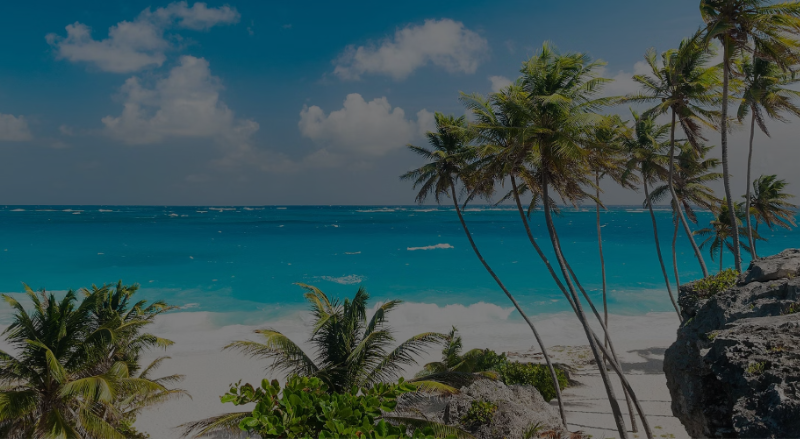 Tropical beach with palm trees and turquoise water under a blue sky.