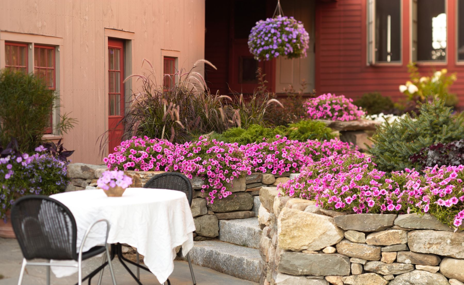  Photo of Superbells® Pink planted in a backyard garden