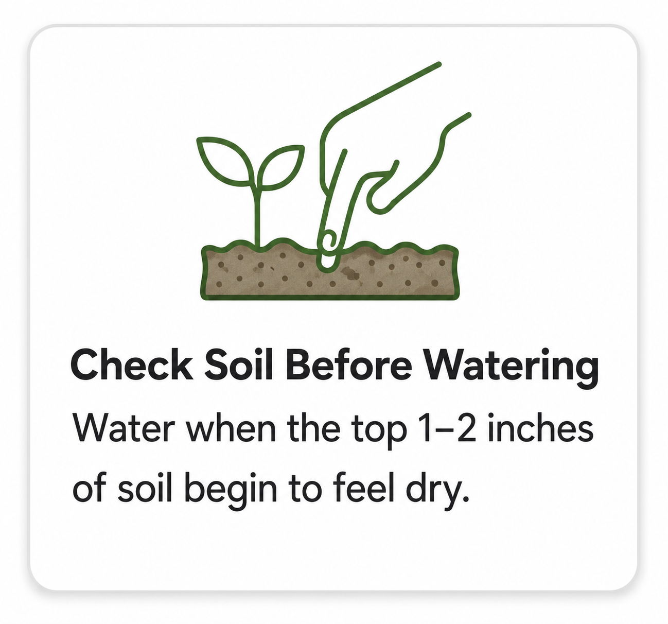 Check soil moisture before watering plants; water when top inches feel dry.