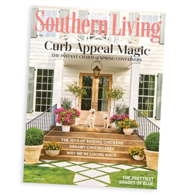 Southern Living magazine cover featuring a home entrance with dogs and flowers.