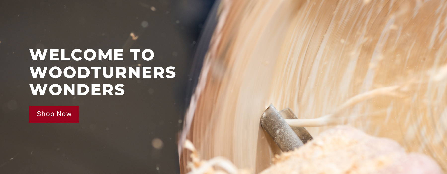 New homepage — Wood Turners Wonders